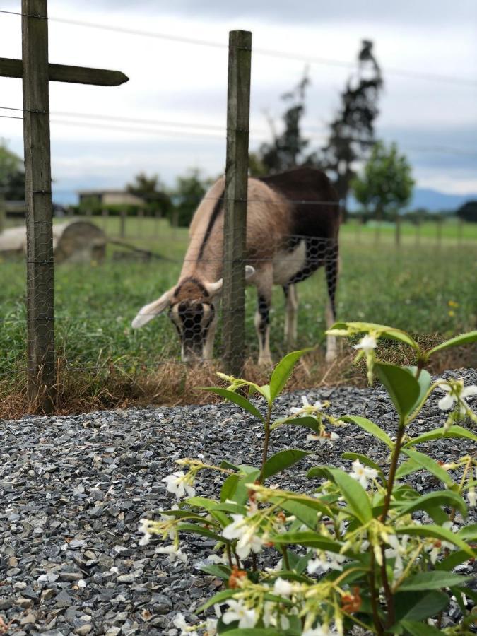 Cosy Country Stay B&B Matamata Exterior foto